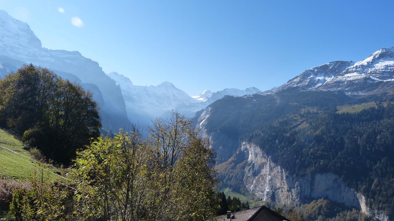 Chalet Bergkristall Wengen Exterior foto